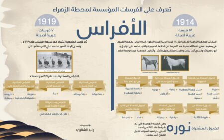 الفرسات المؤسسة لمحطة الزهراء لتربية الخيول العربية