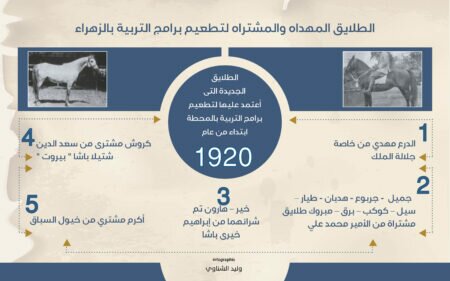 الطلايق المهداه و المستخدمة للإنتاج من خارج محطة الزهراء