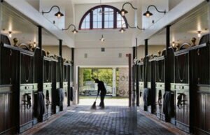 إسطبلات شبرا تعكس حب الخيول لدي محمد علي باشا