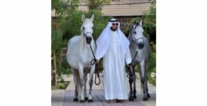 العقابية مزرعة تربي الخيول ذات الدماء المصرية بالمدينة المنورة