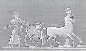 سباق الخيل في العصر الفرعوني النقوش