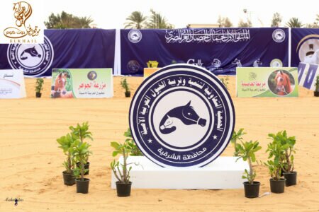 ملتقي الشرقية