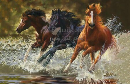 ترتيب تفضيل ألوان الخيل