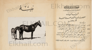 الحصان نبيه الأشقر بسيالة نبيه