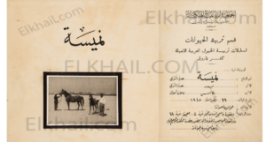 الفرسة نميسة الهدباء نميسة