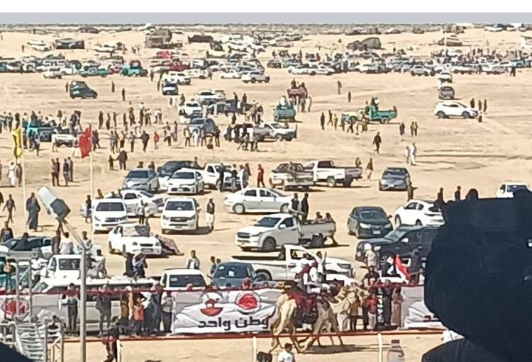 نجاح باهر في افتتاح مهرجان سباق الهجن اليوم بالعريش